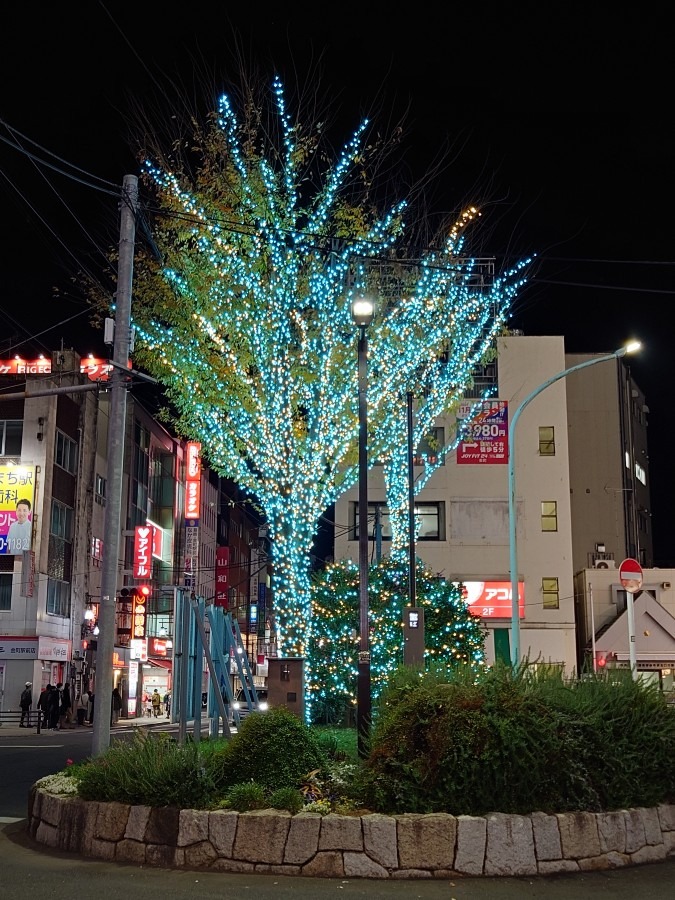 新たな場所でのイルミネーション