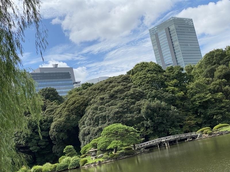 都会と自然が調和した光景