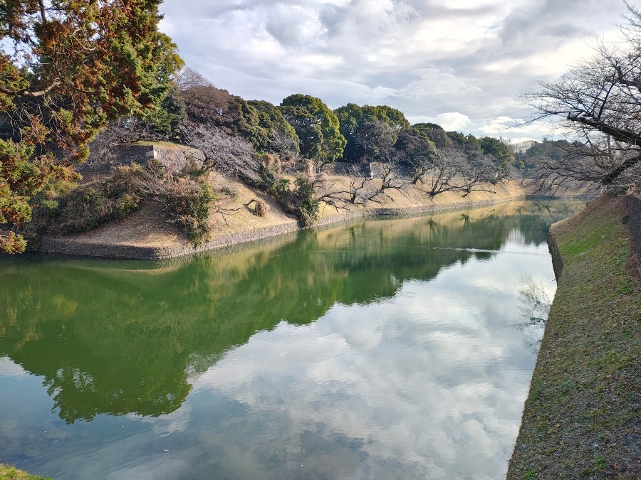 昼下がりの武道館